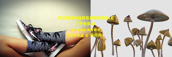 2c-b Алзамай