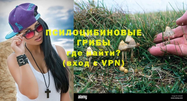 бутират Алексеевка