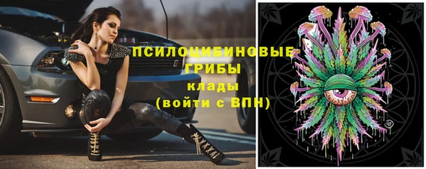 твердый Михайловка